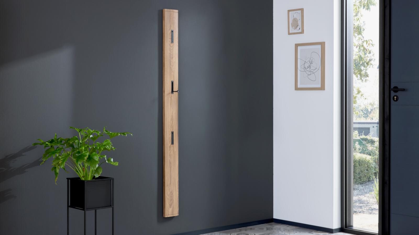 Interliving Garderobenpaneel Serie 6014